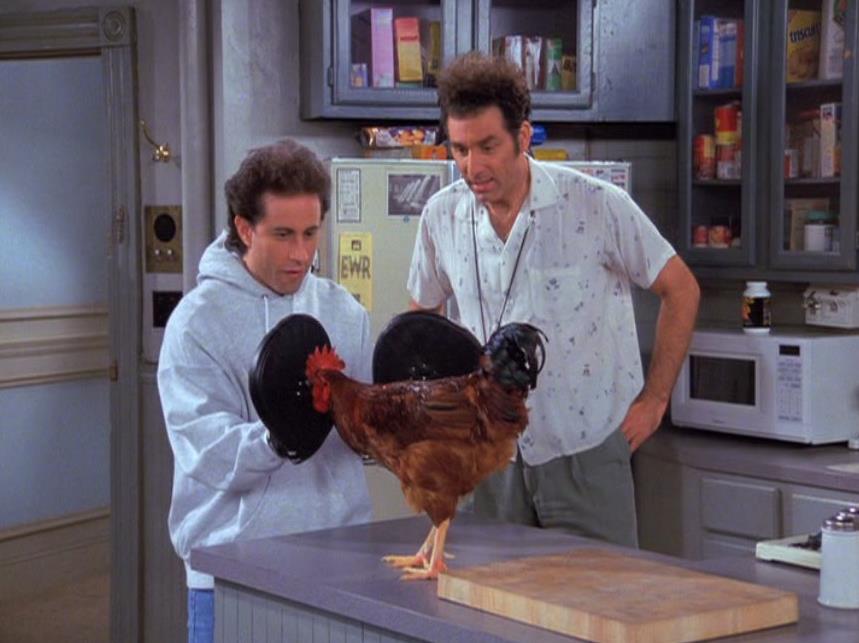 Little Jerry is a lean mean pecking machine!